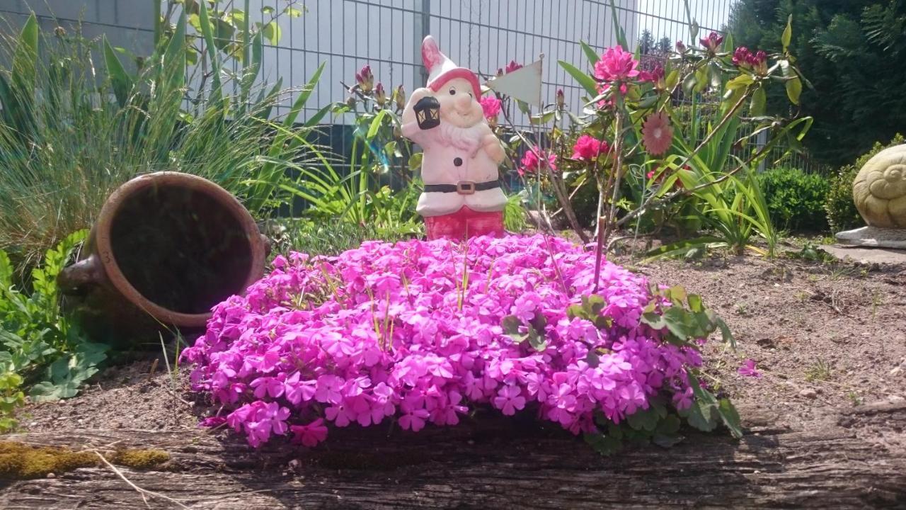 Kleine Auszeit วาเริน ภายนอก รูปภาพ